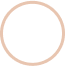 Oval Icon