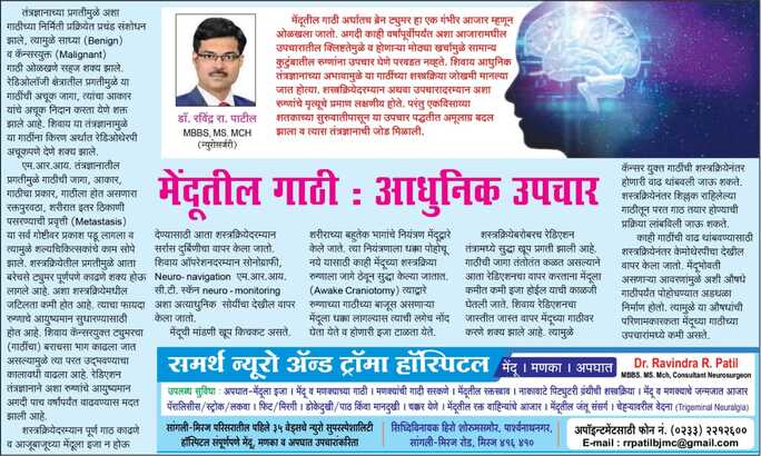 Punyanagari Articles