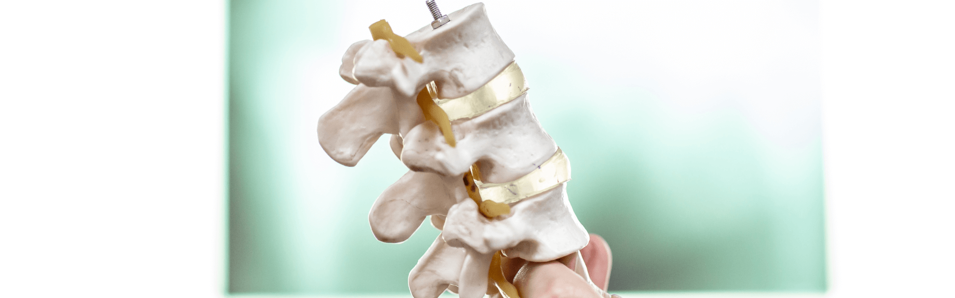 Spinal tumor / स्पाइनल ट्यूमर